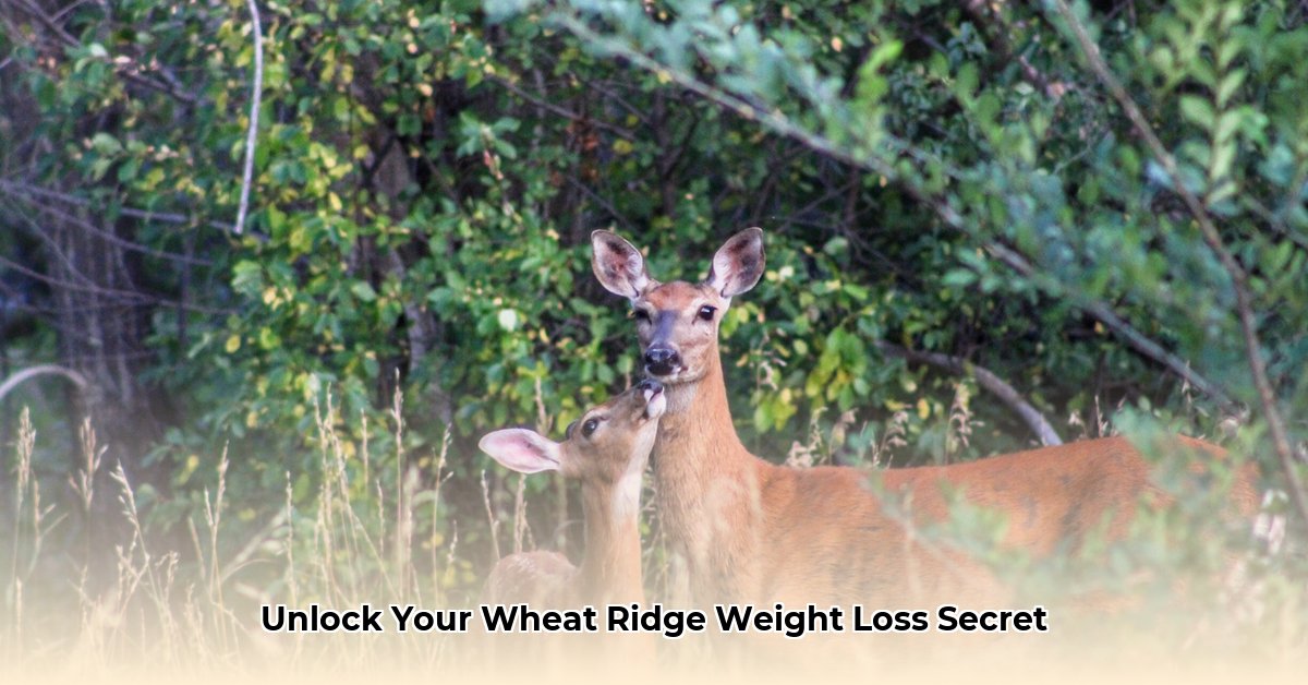 wheat-ridge-weight-loss